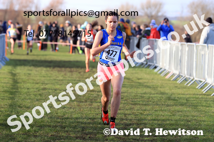Girls Under-15s 2026 Northern Cross Country Champs., Pontefract Racecourse, Pontefract. Photo: David T. Hewitson/Sports for All Pics
